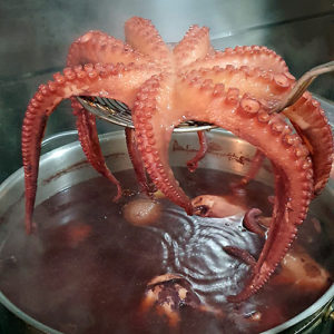 Nuestro tierno pulpo